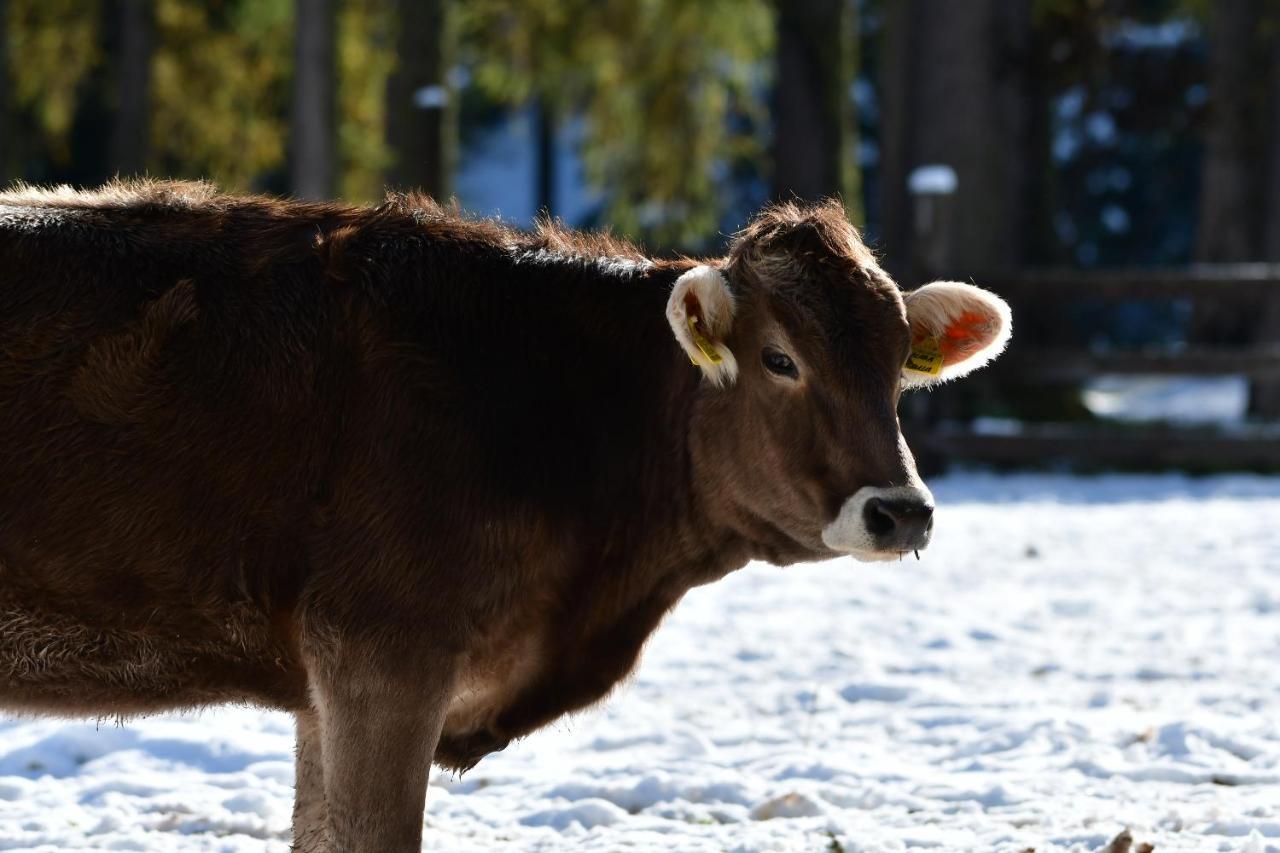 Unteradamerhof Sexten Bagian luar foto